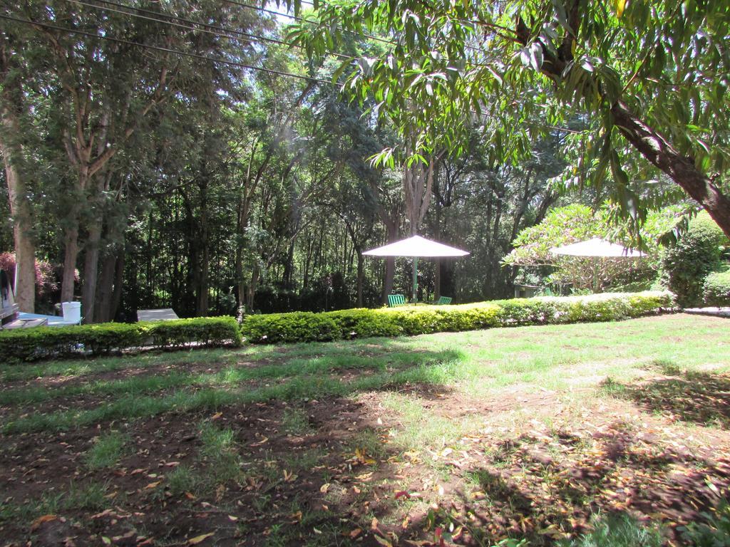 Equator Hotel Αρούσα Εξωτερικό φωτογραφία