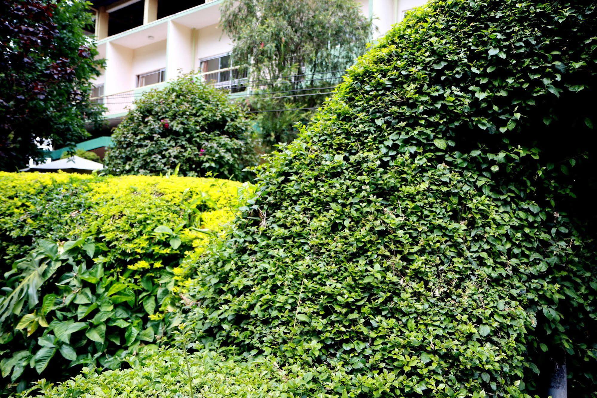 Equator Hotel Αρούσα Εξωτερικό φωτογραφία